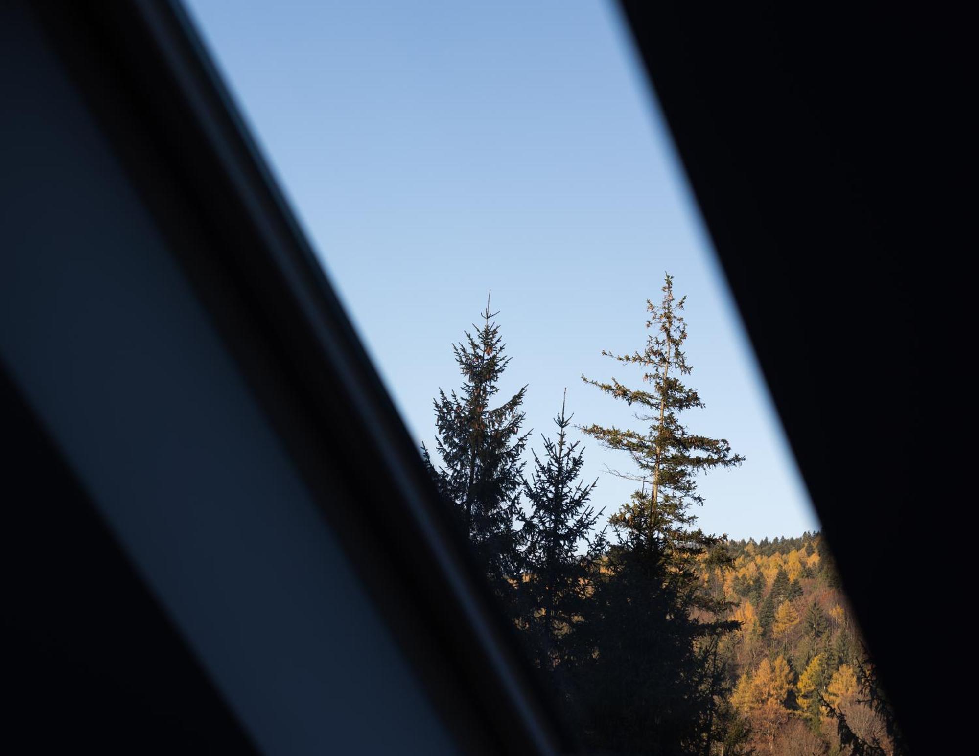 Impala Sinaia - Springbokアパートメント エクステリア 写真